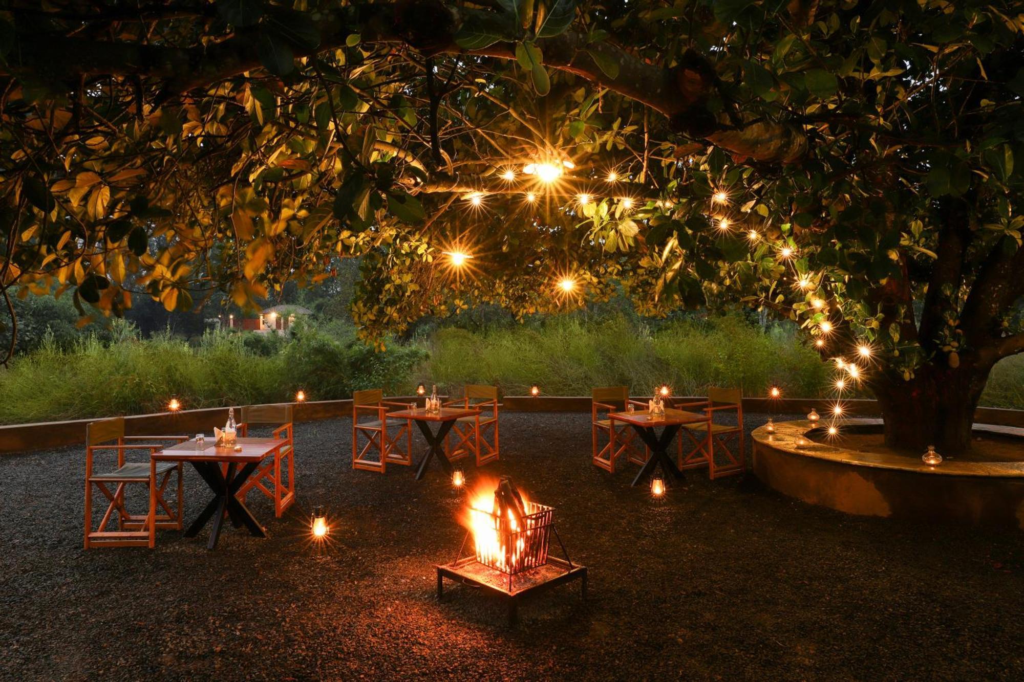 Lemon Tree Wildlife Resort, Kānha Eksteriør billede